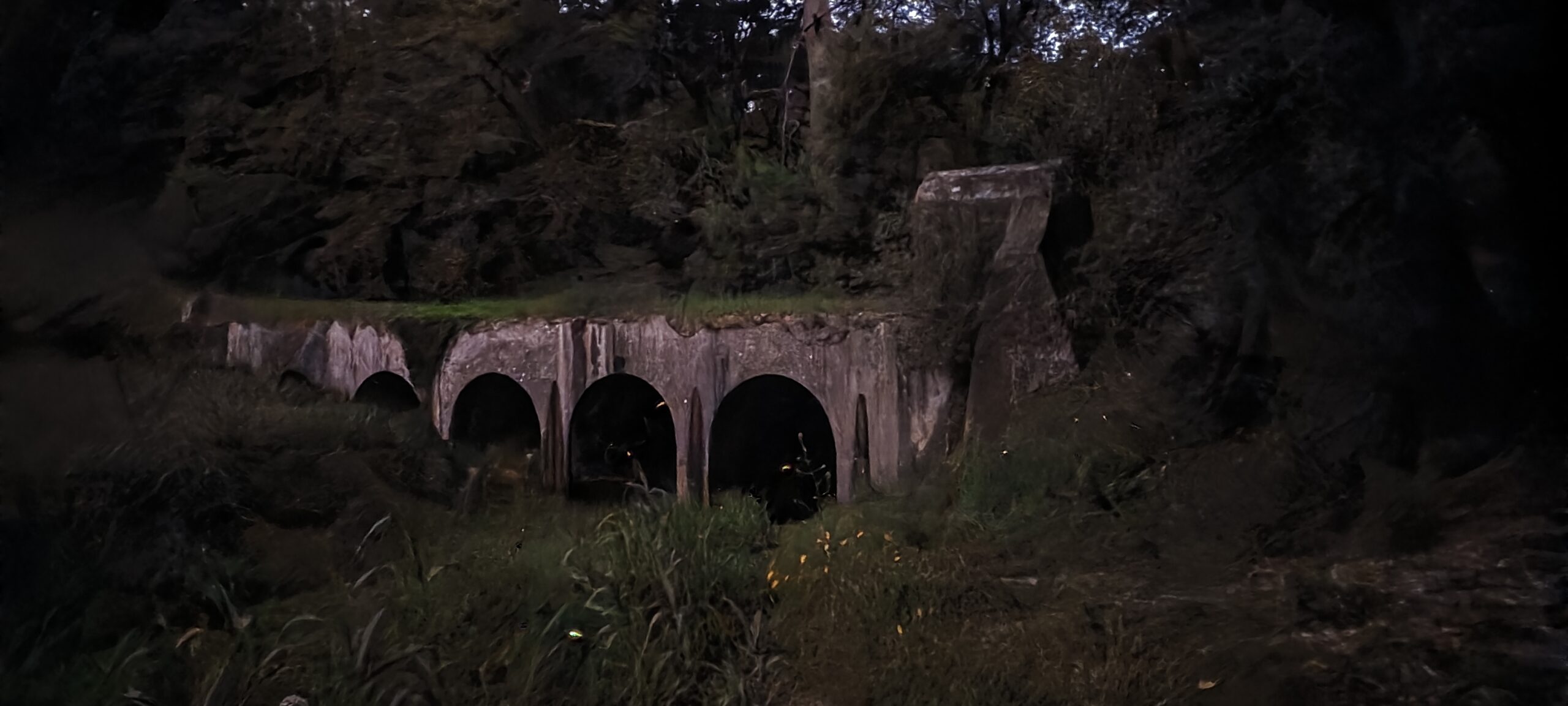 No Meio dos Pirilampos (30 Maio)