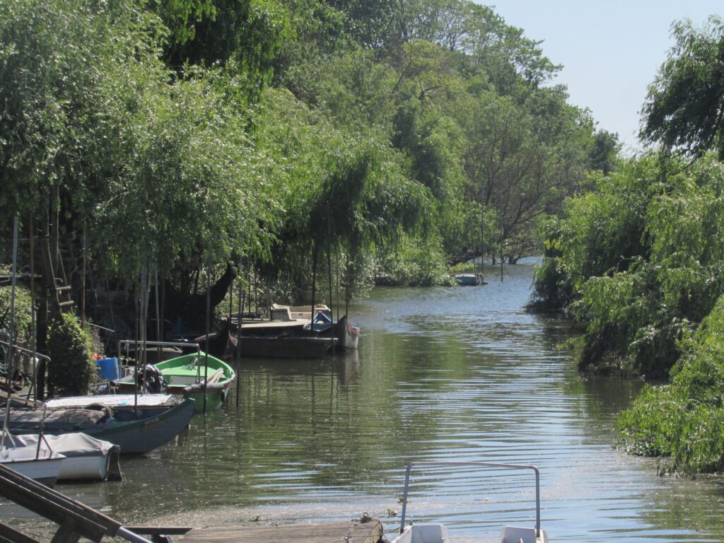 Entre o Tejo e as Asas da História: Caminhada, Barco e Tradição Avieira