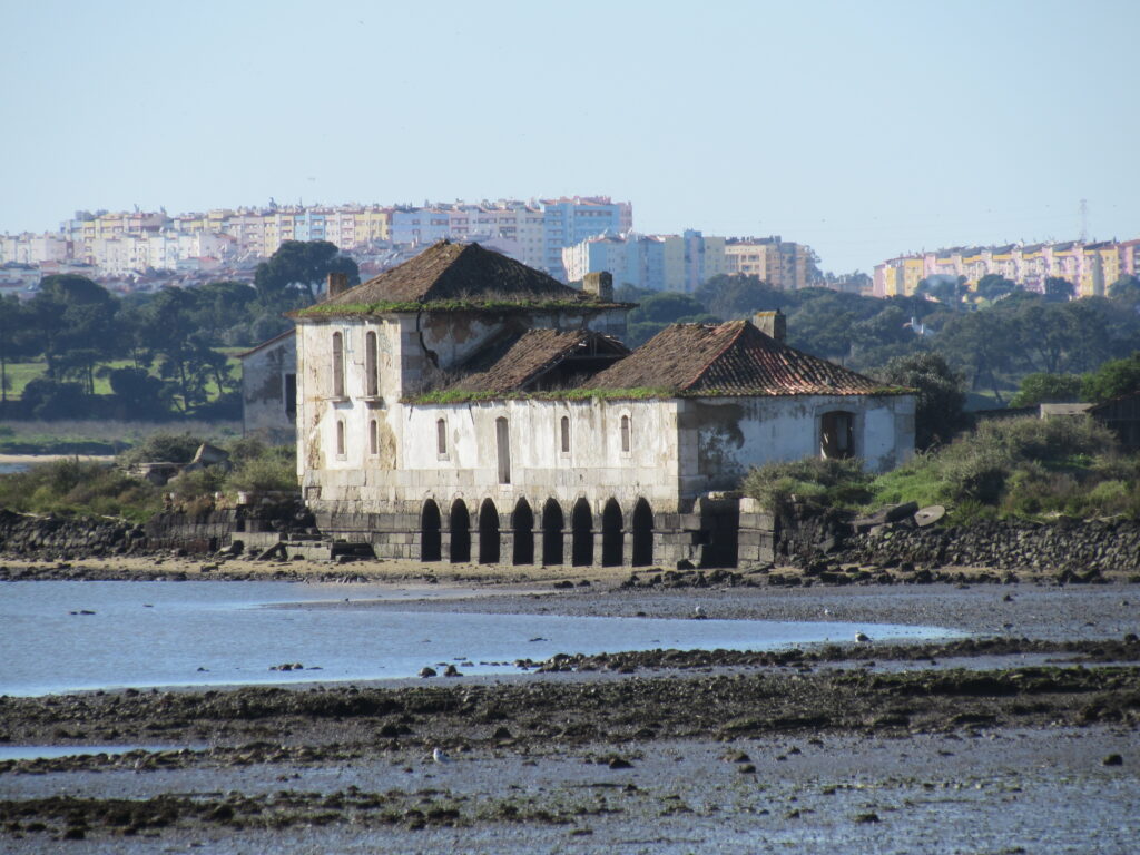 Roteiro das Tradições Brancas: Farinha, Sal e Bacalhau